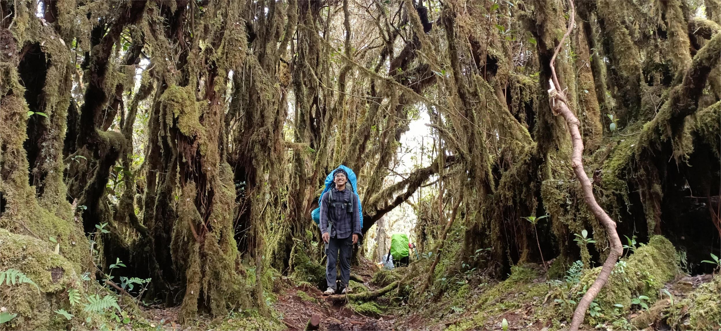 Adventurous Hiking Trails in Malaysia - Mount Ulu Sepat