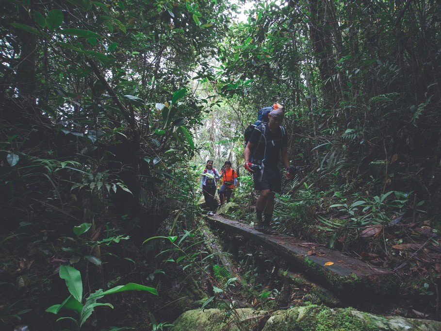 Mount Murud - serene hiking experience