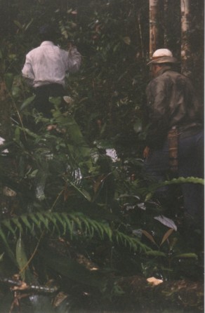 Mount Ulu Sepat - Orang Asli guides