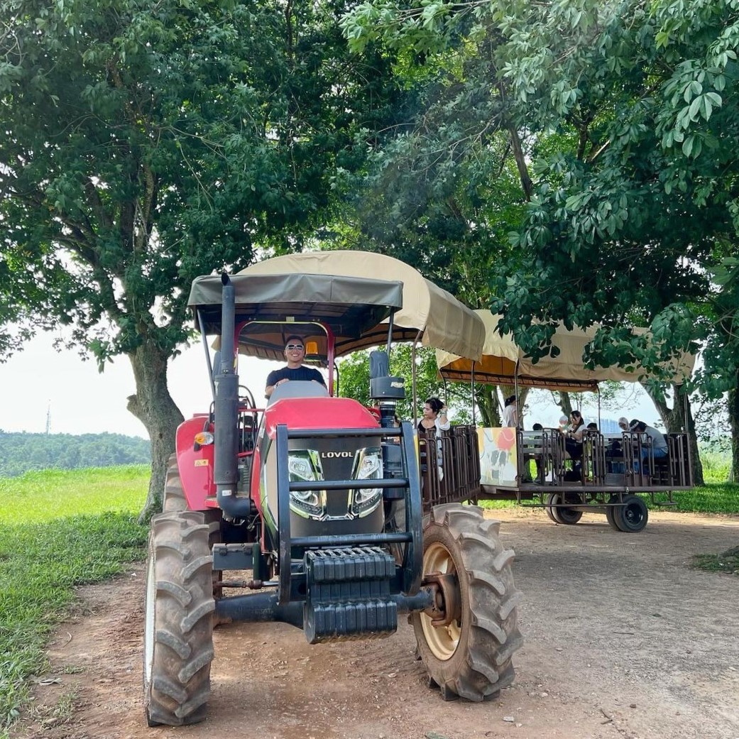 tractor rides