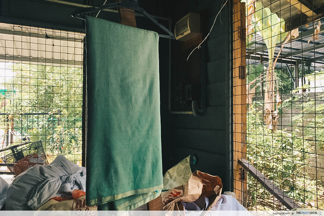 Saree - Dhobi wallahs in Ipoh