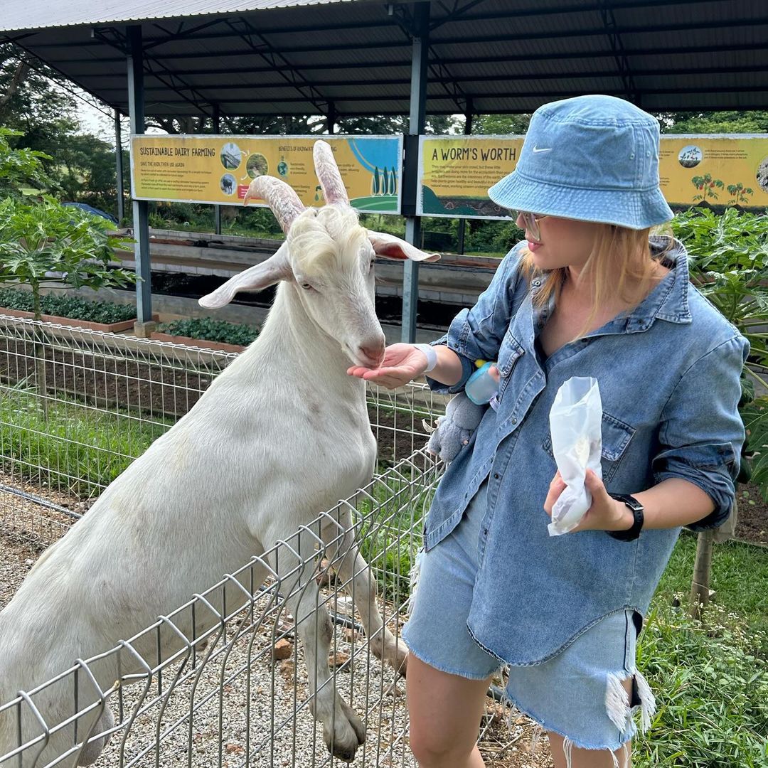 Feed goats at Farm Fresh