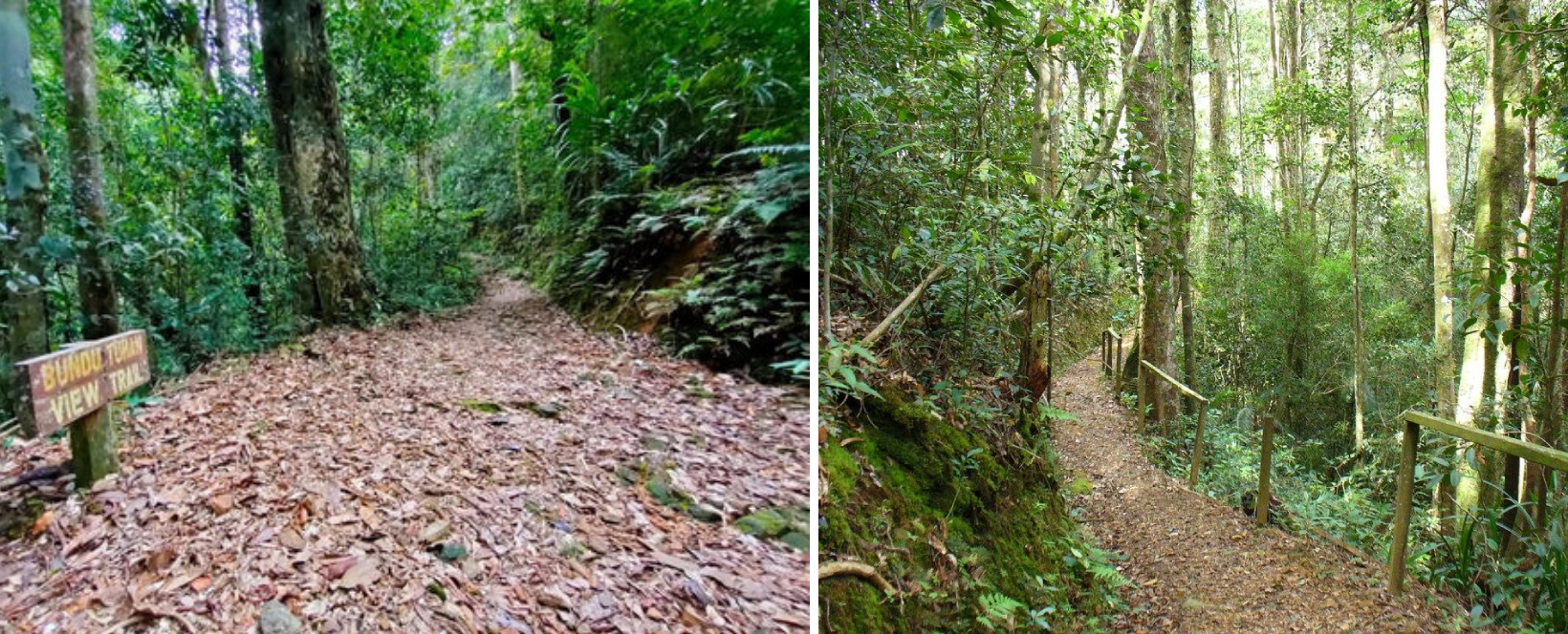 Kinabalu Park in Sabah - Bundu Tuhan View Trail