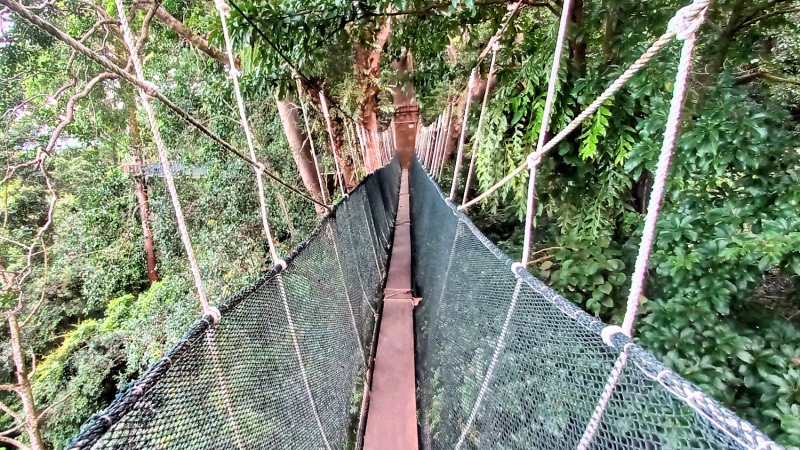 Canopy Walkway