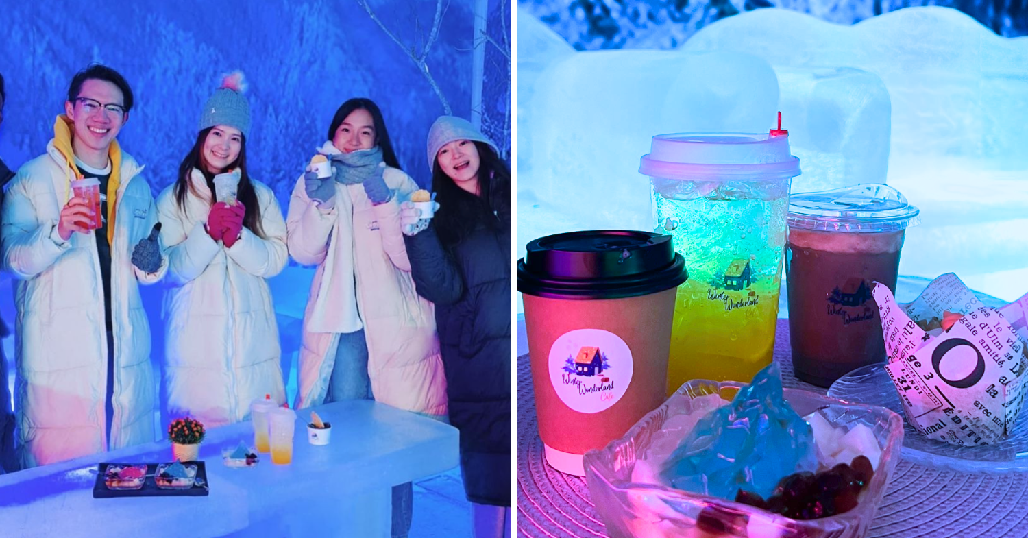 SnowLim Wonderland: Malaysia's Largest Snow Park In Seremban