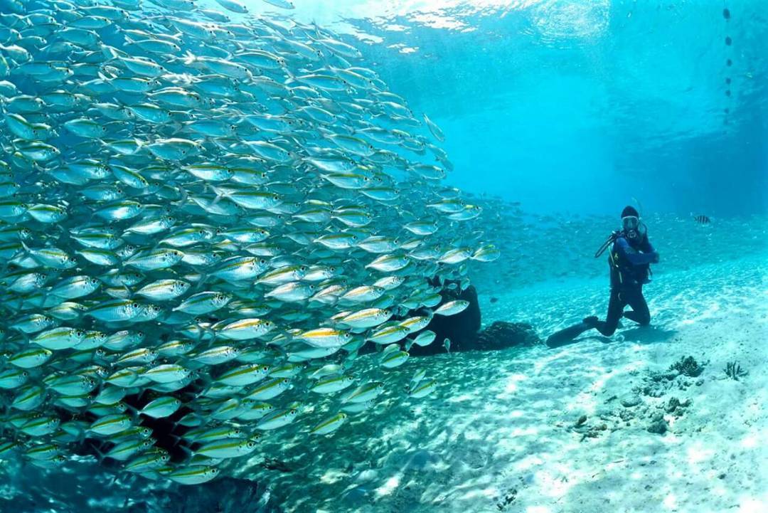 Pulau Lang Tengah, Terengganu 