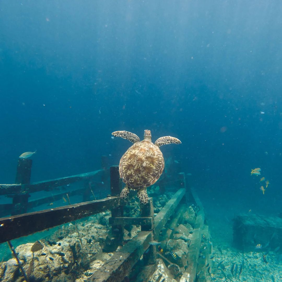 lesser known islands in malaysia 