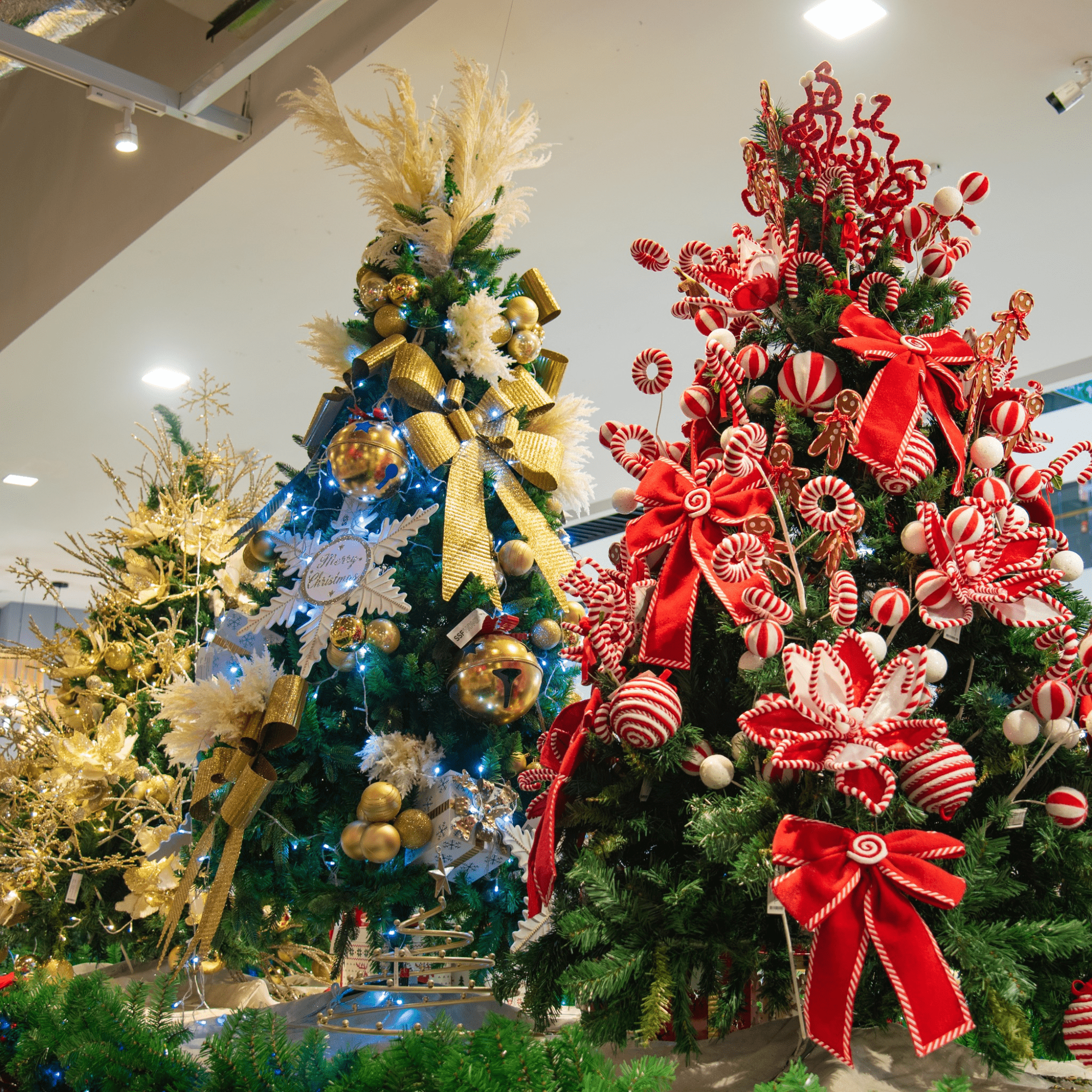 Christmas trees Malaysia - SSFHome