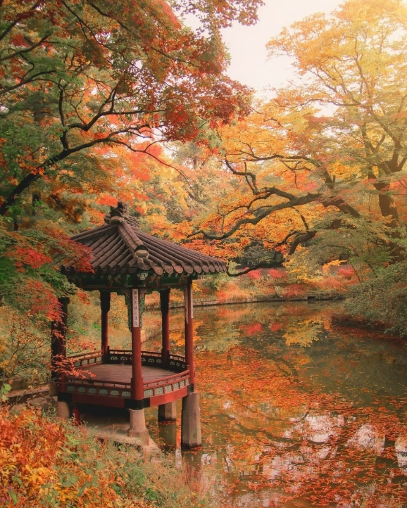 autumn asia - korea