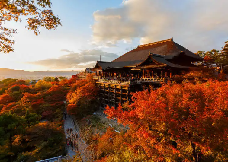 autumn asia - kyoto