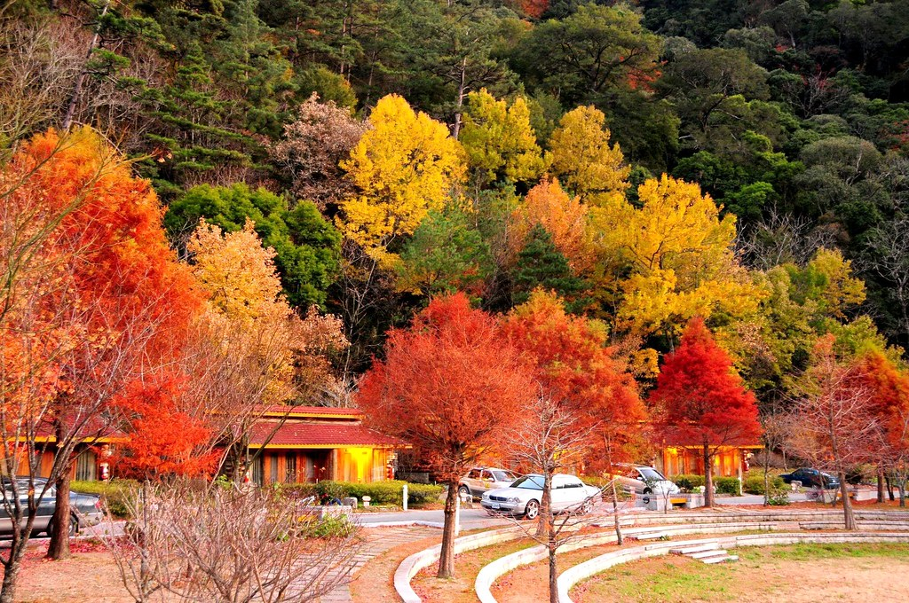 Fall in Taichung, Taiwan