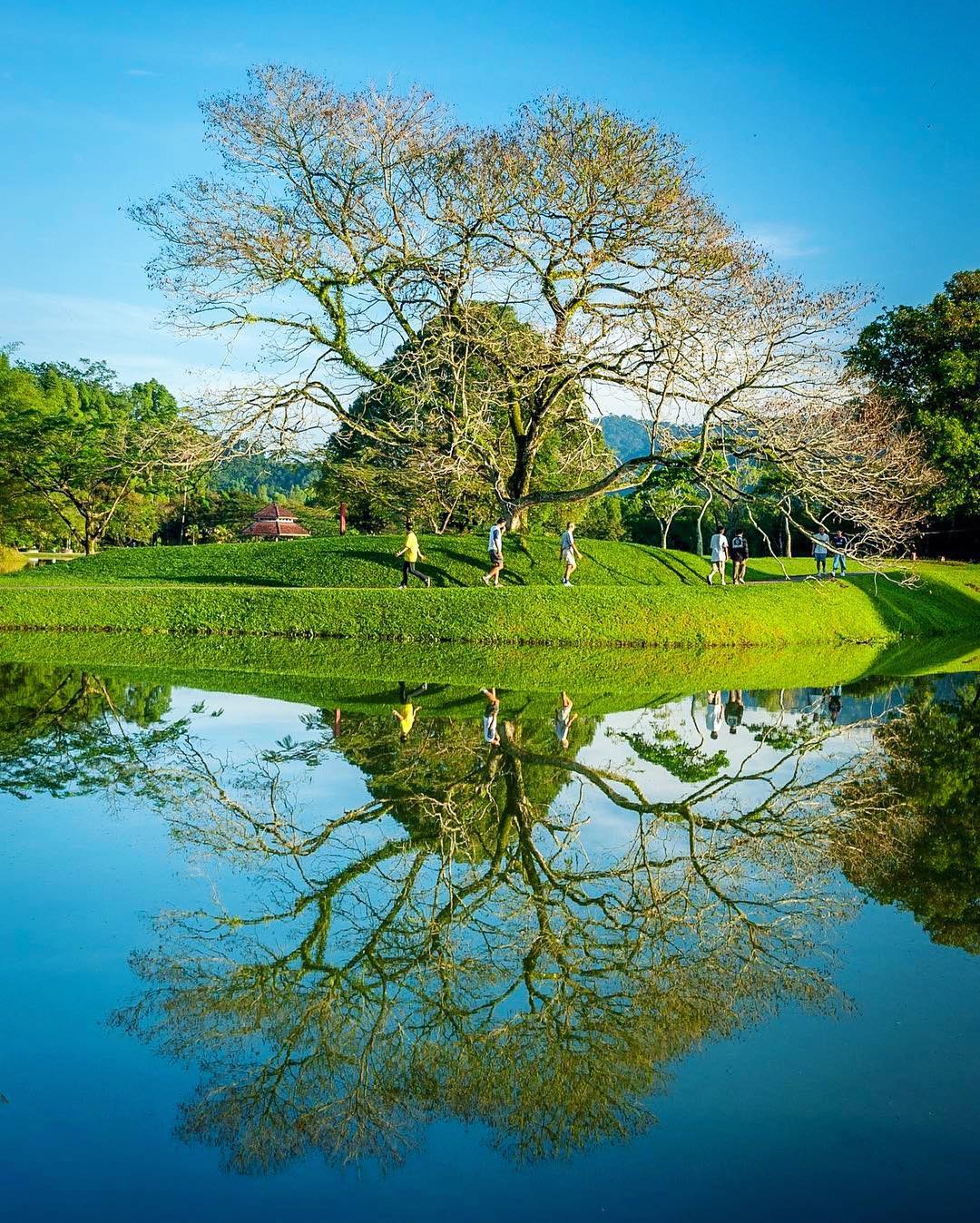 things to do taiping perak - lake gardens