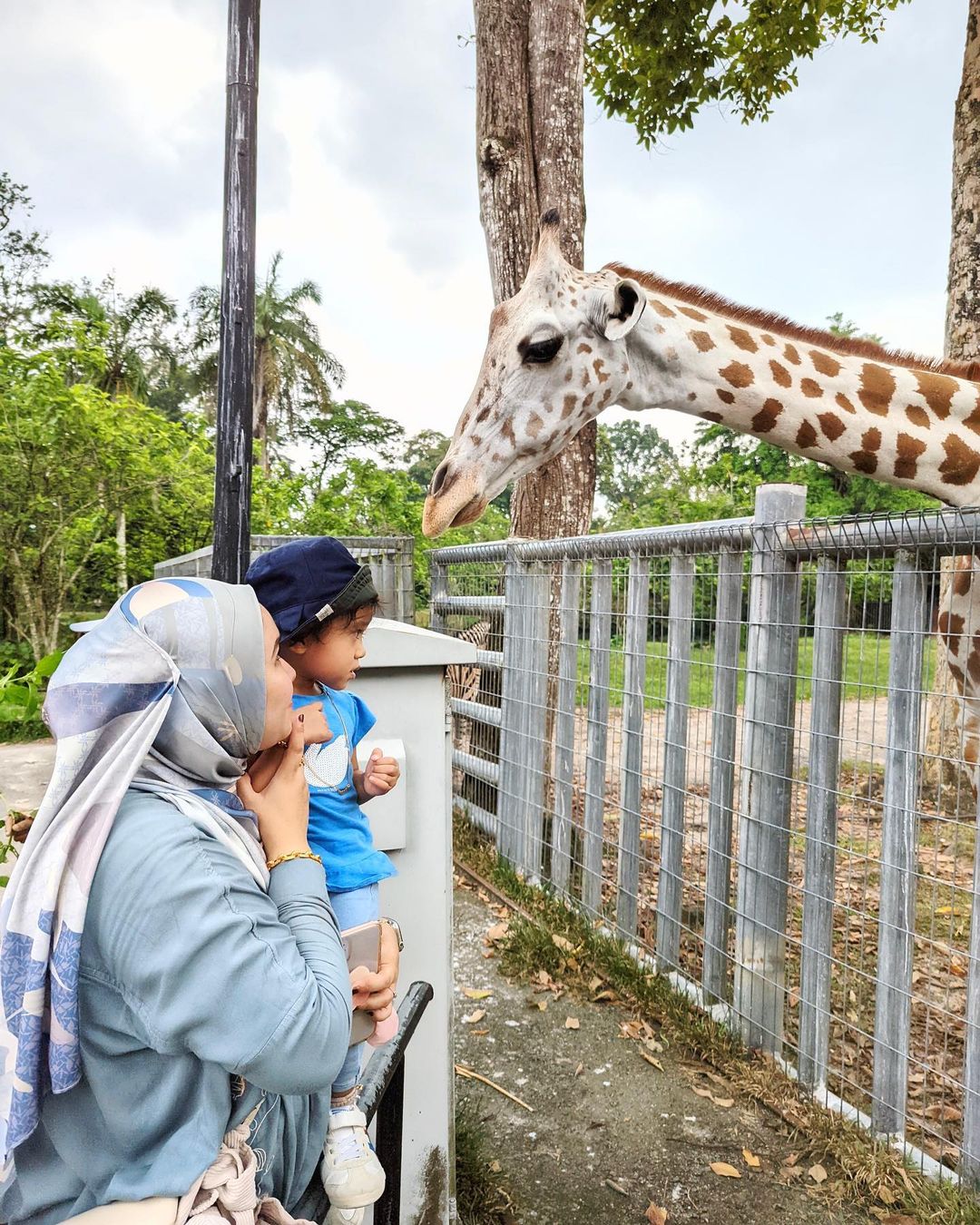 Taiping Zoo and Night Safari 