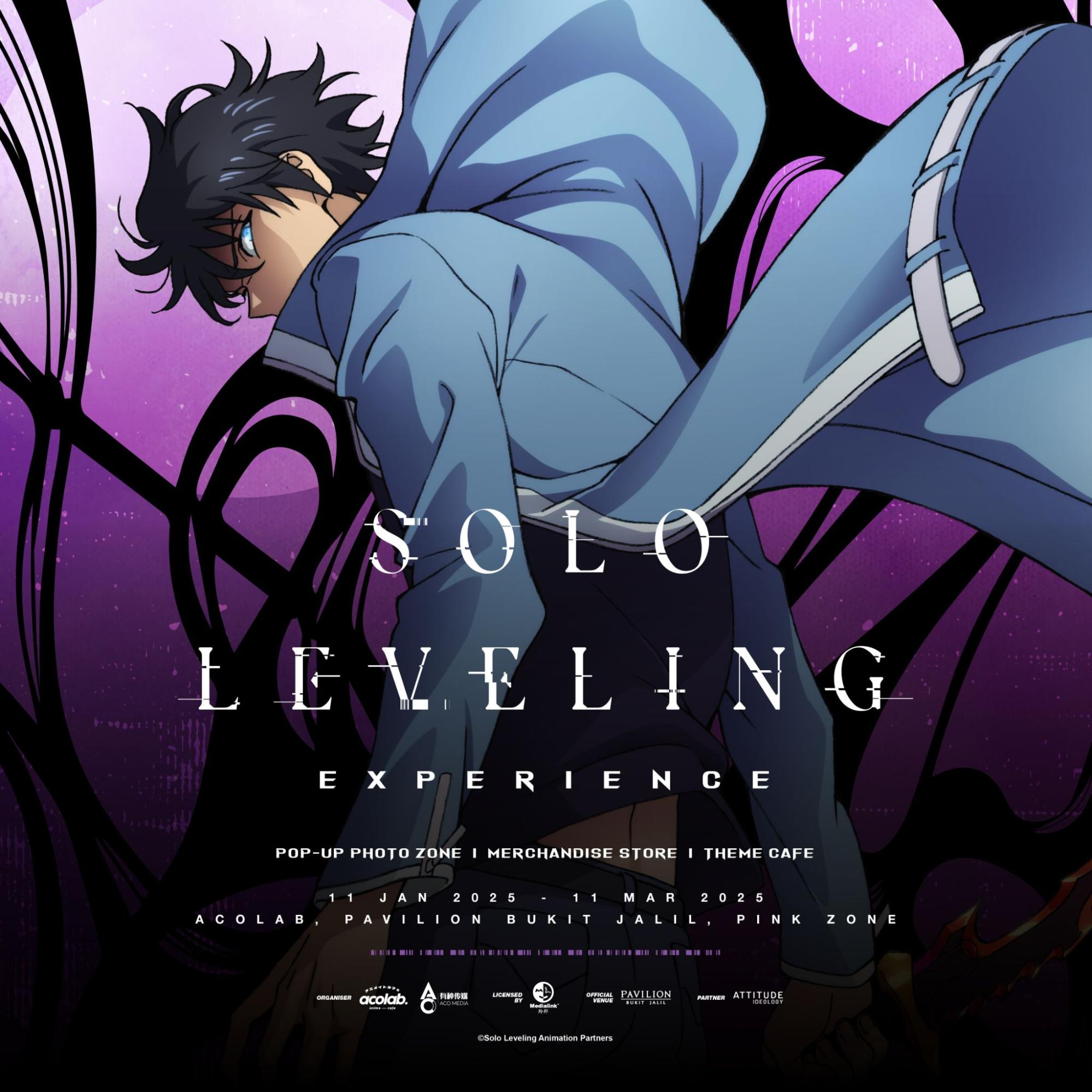 solo leveling experience in kl - poster