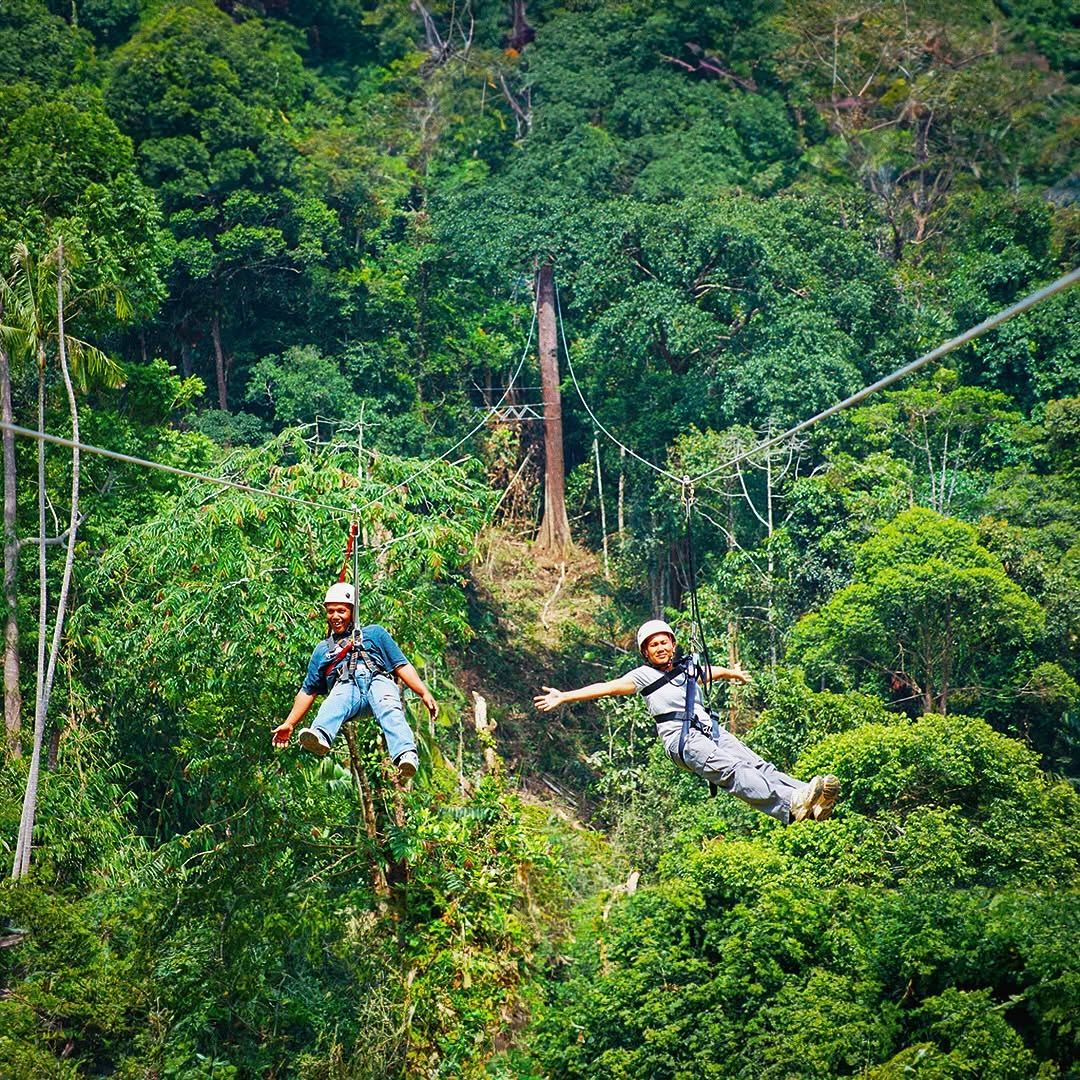 Adventure Park at Colmar Tropicale