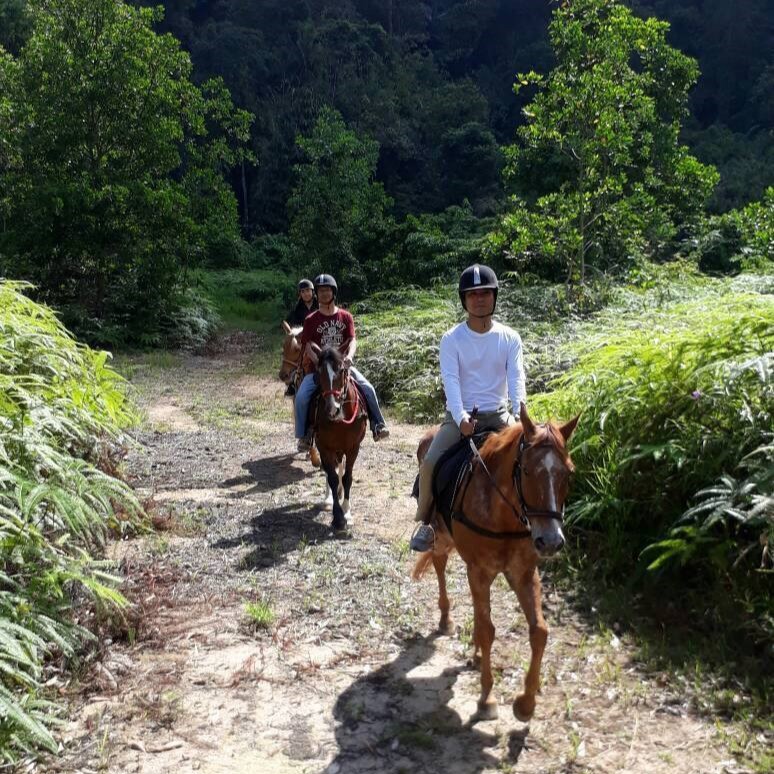 Equestrian Trail at Berjaya Hills