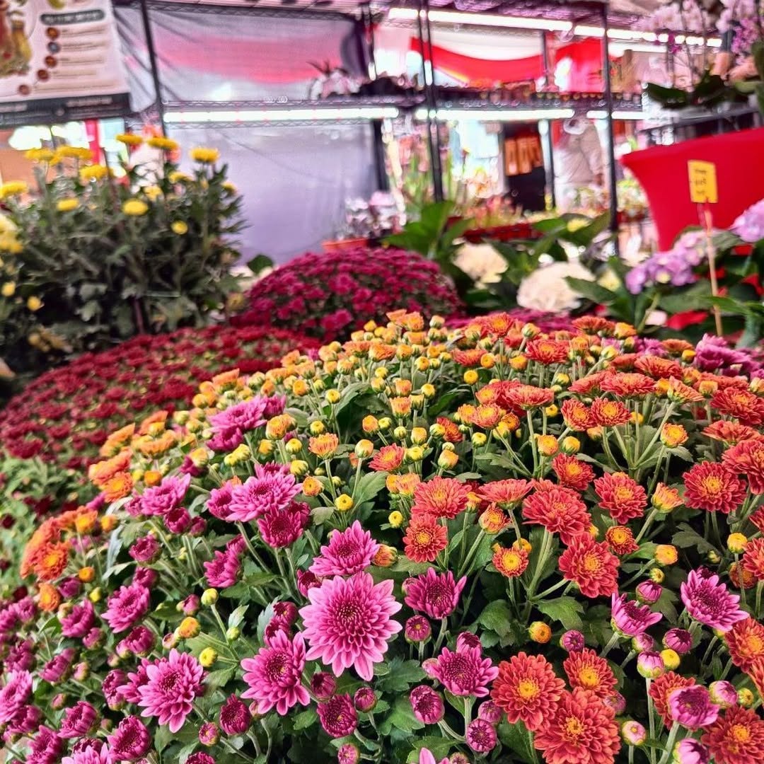 Chinese New Year Bazaar Malaysia - cny plant