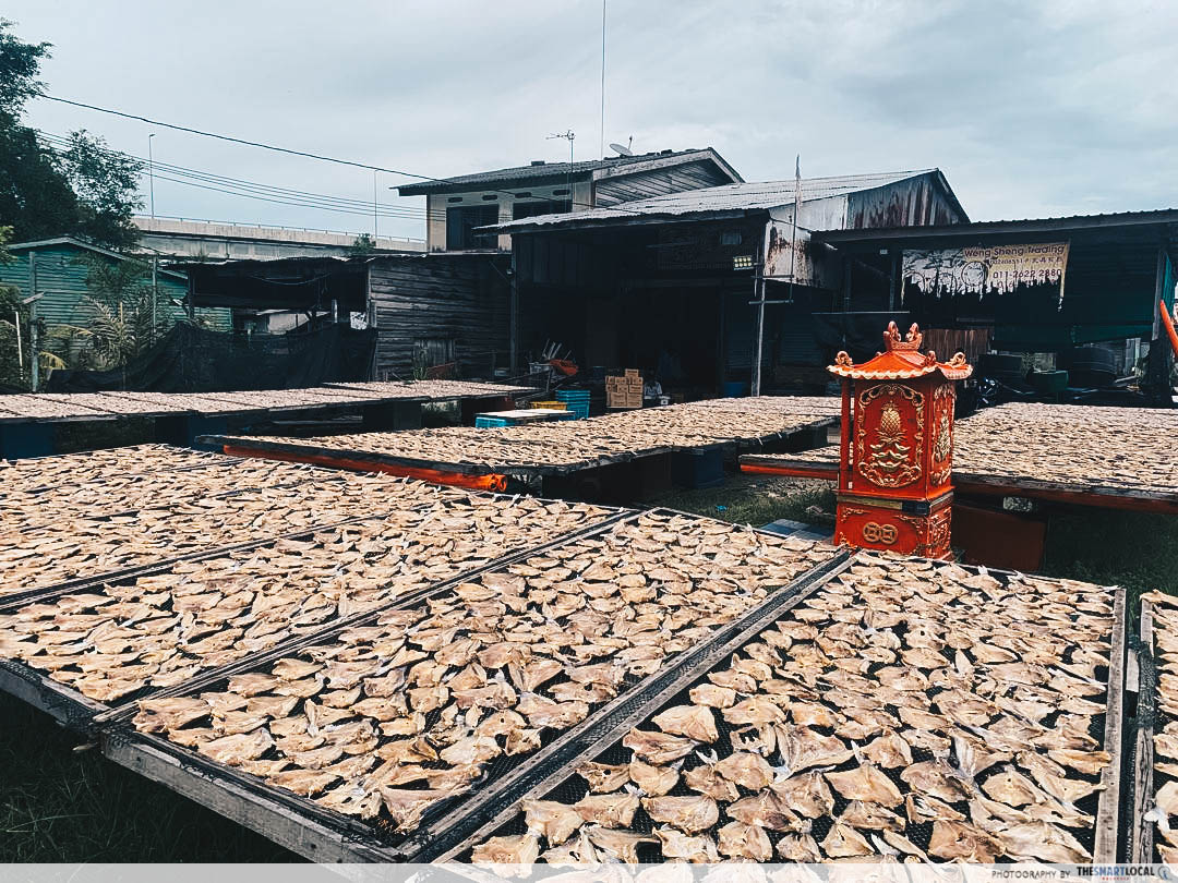 Dried fish - Kuala Kurau in Perak