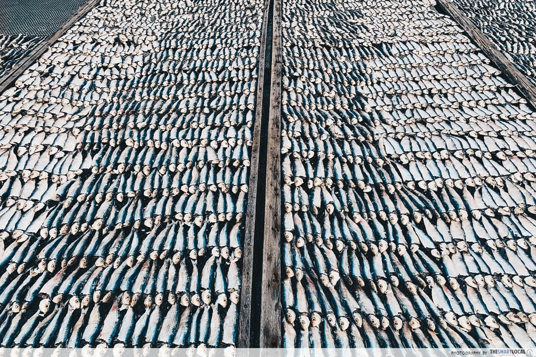 Salted fish - Kuala Kurau in Perak