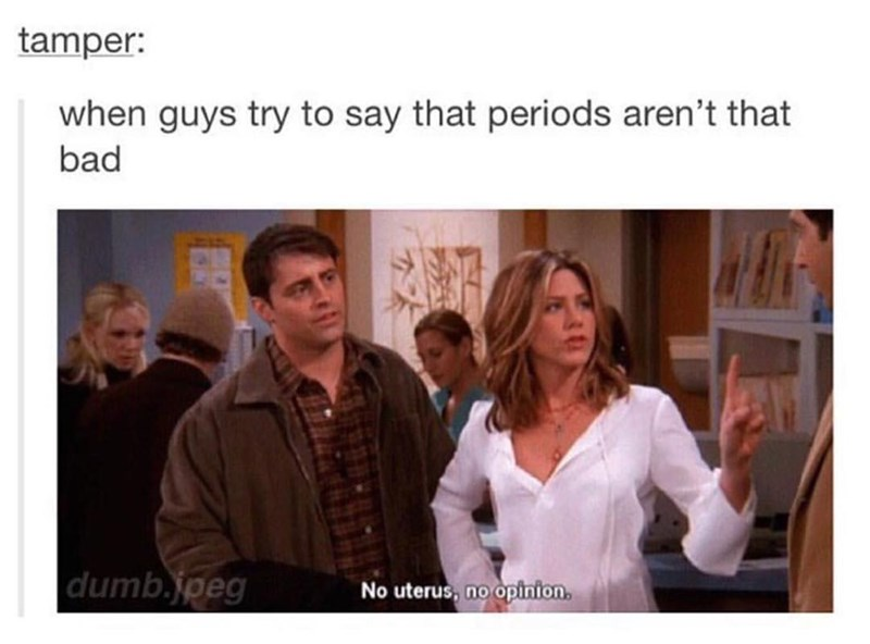 rachel green meme