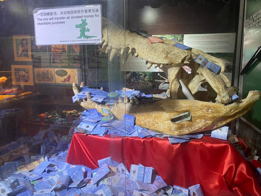 Bujang Senang, skull display in Jong's Crocodile Farm