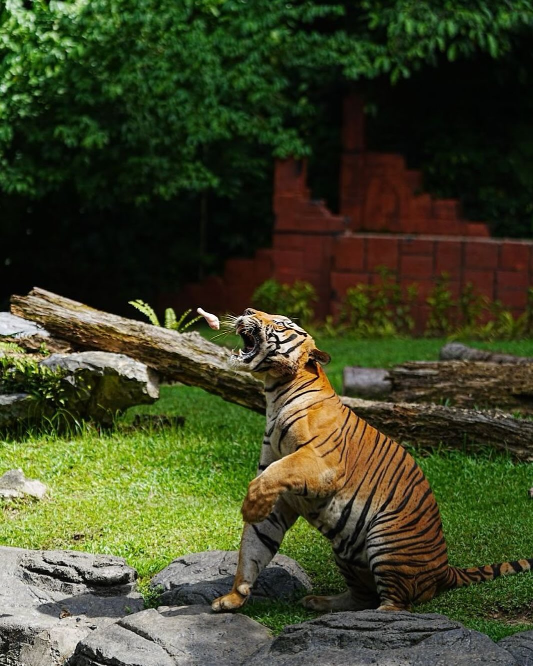 Wildlife Park - Guide to Sunway Lagoon Studios