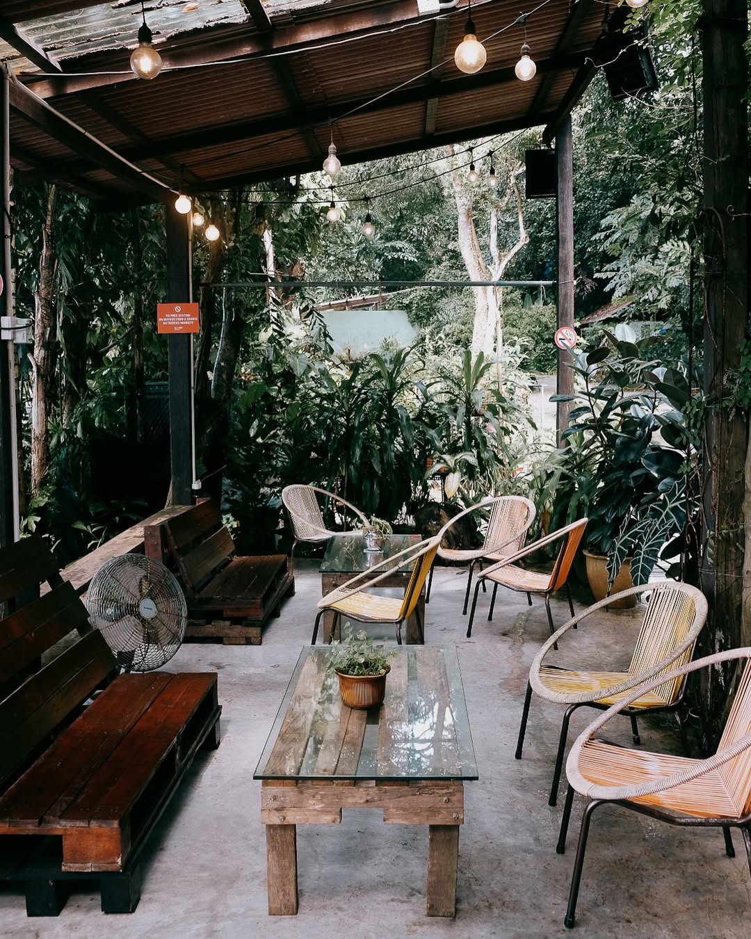 kanopi coffee