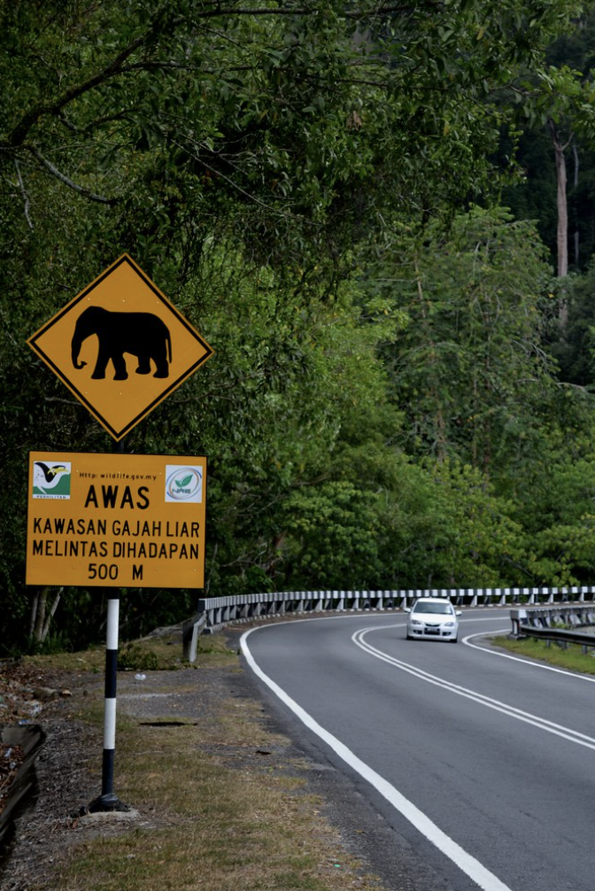 Malaysia Wildlife protection - elephant sign