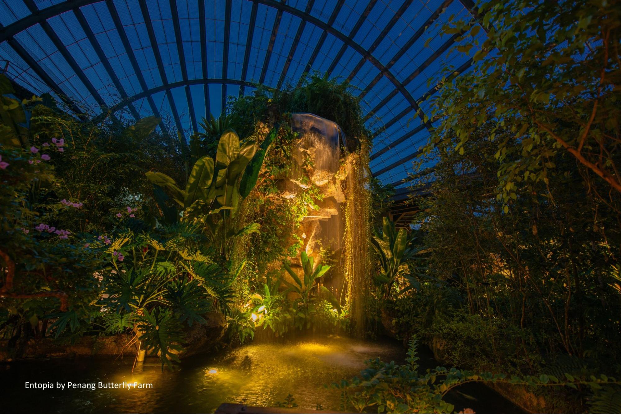Entopia by night - glow