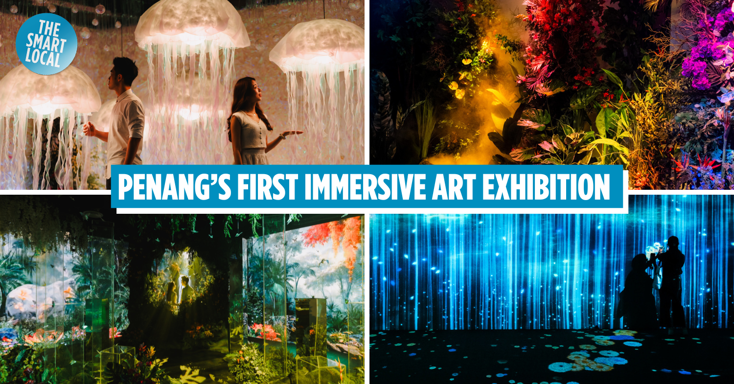 D Adventurous Project: Penang’s First Immersive Art Exhibition With Installations Of Enchanting Forest & Ethereal Galaxy
