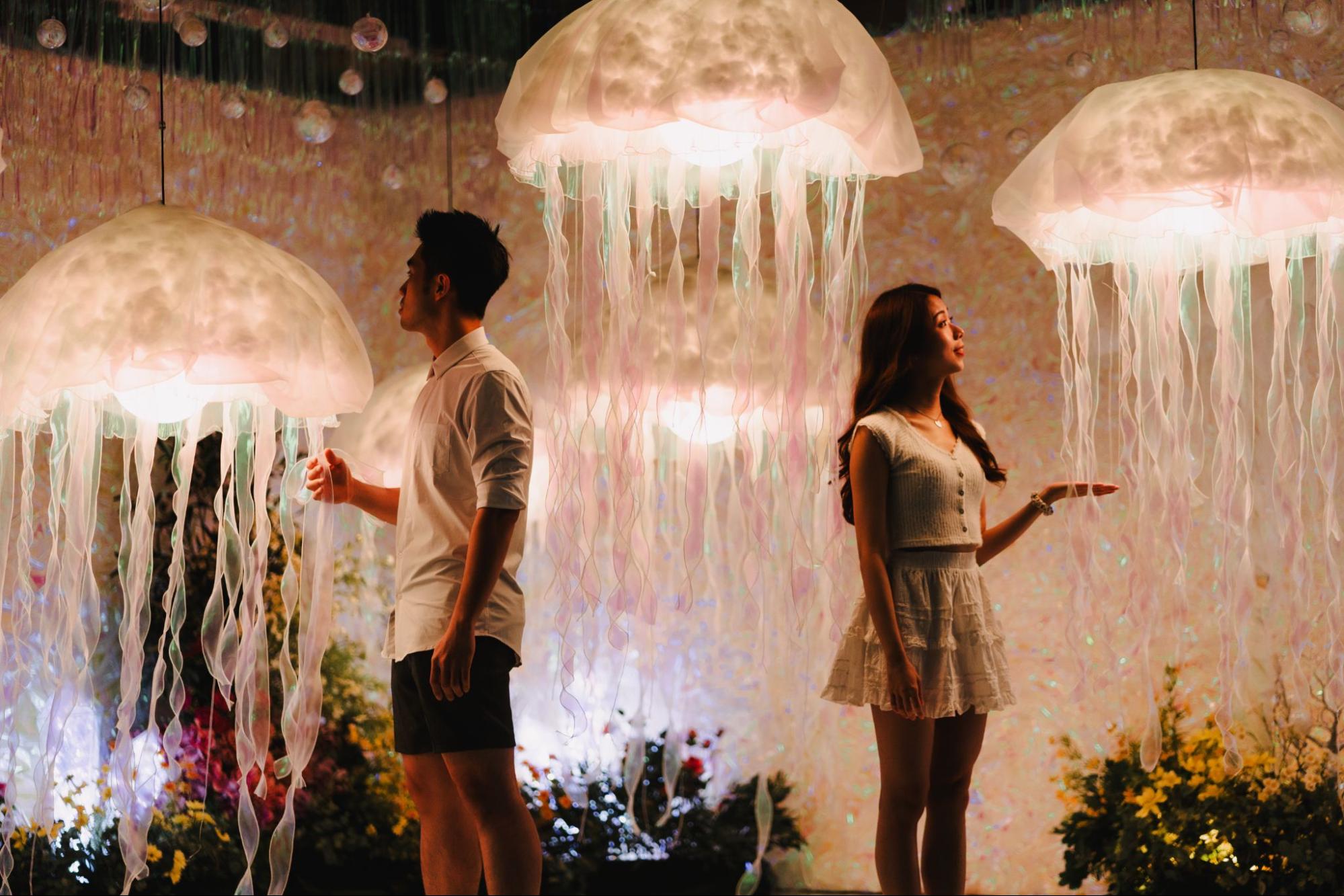 D Adventurous Penang - luminescent