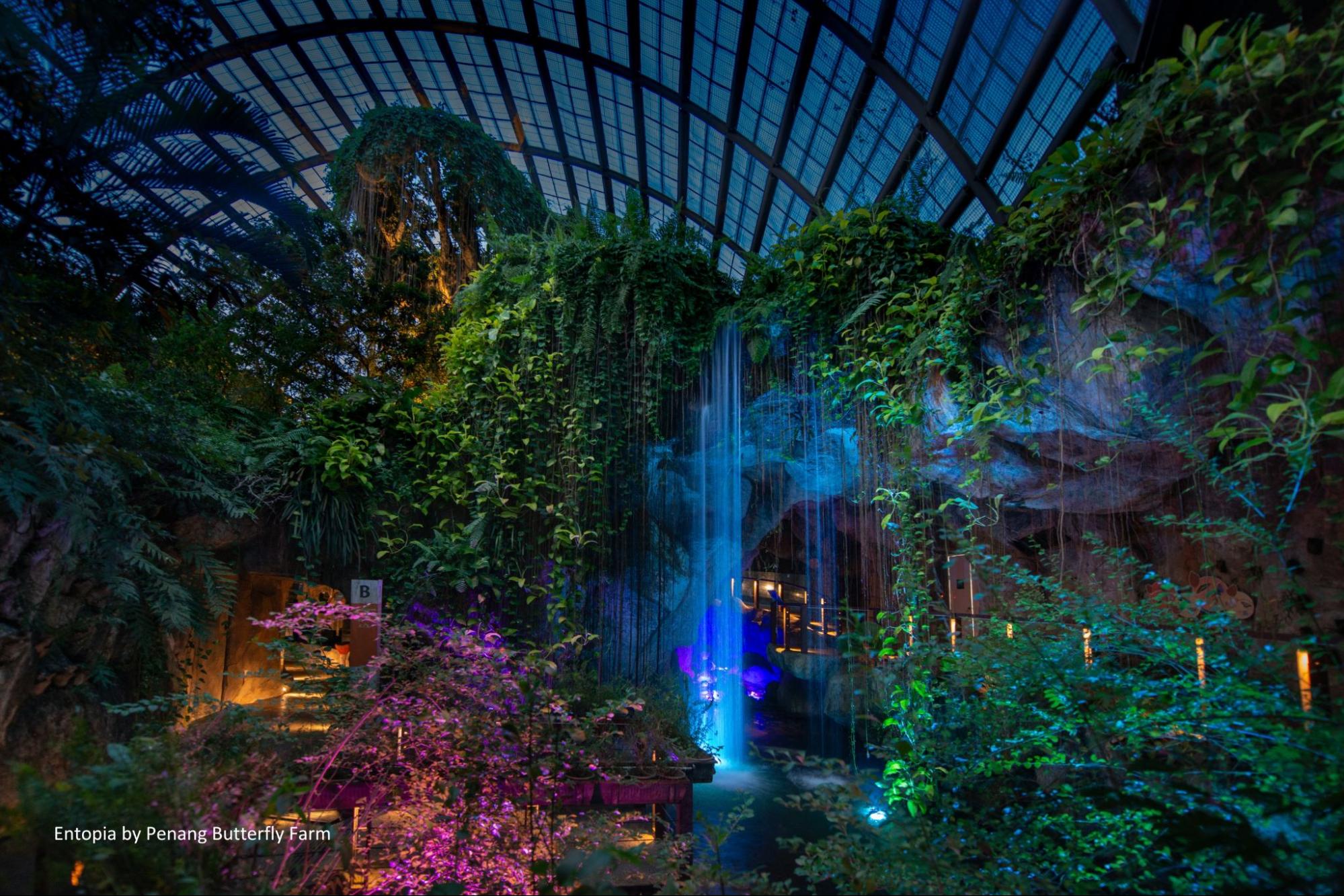 Entopia by night - garden