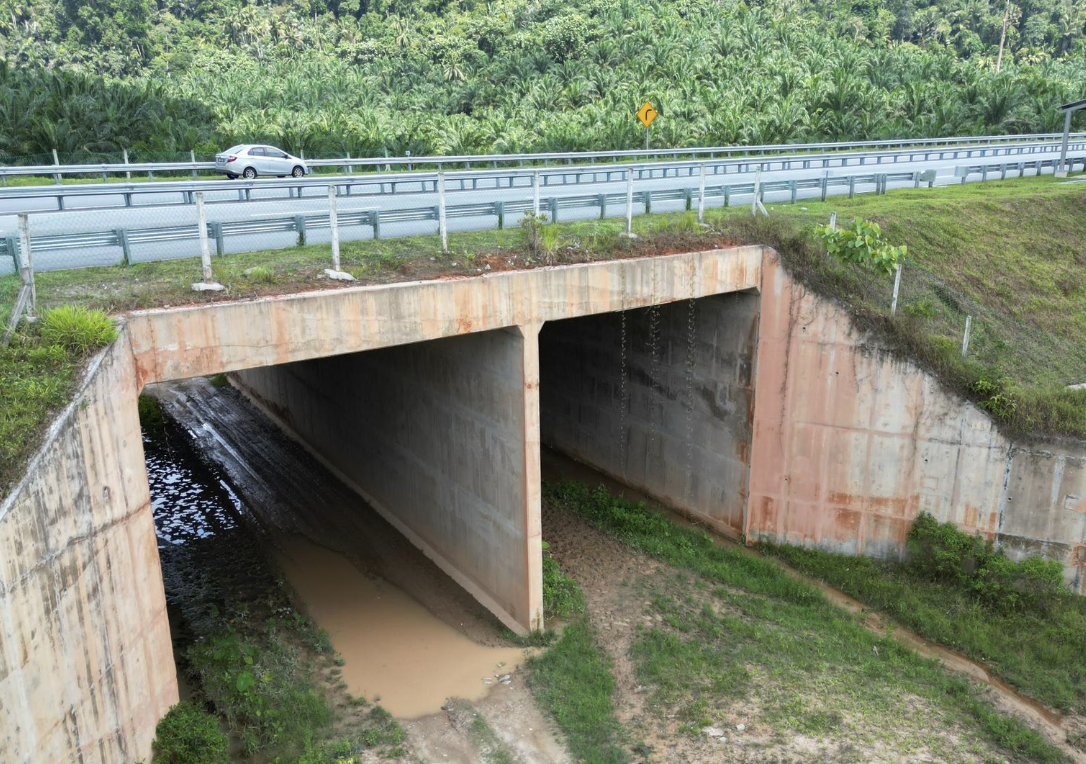 Malaysia Wildlife protection - wildlife crossing