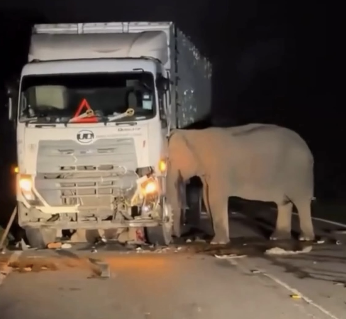 Malaysia Wildlife protection - the Gerik-Jali highway incident