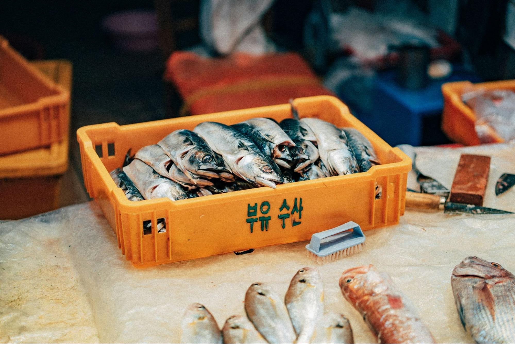 Fish - Revised Sales and Service Tax (SST) to take effect from 1st July 2025