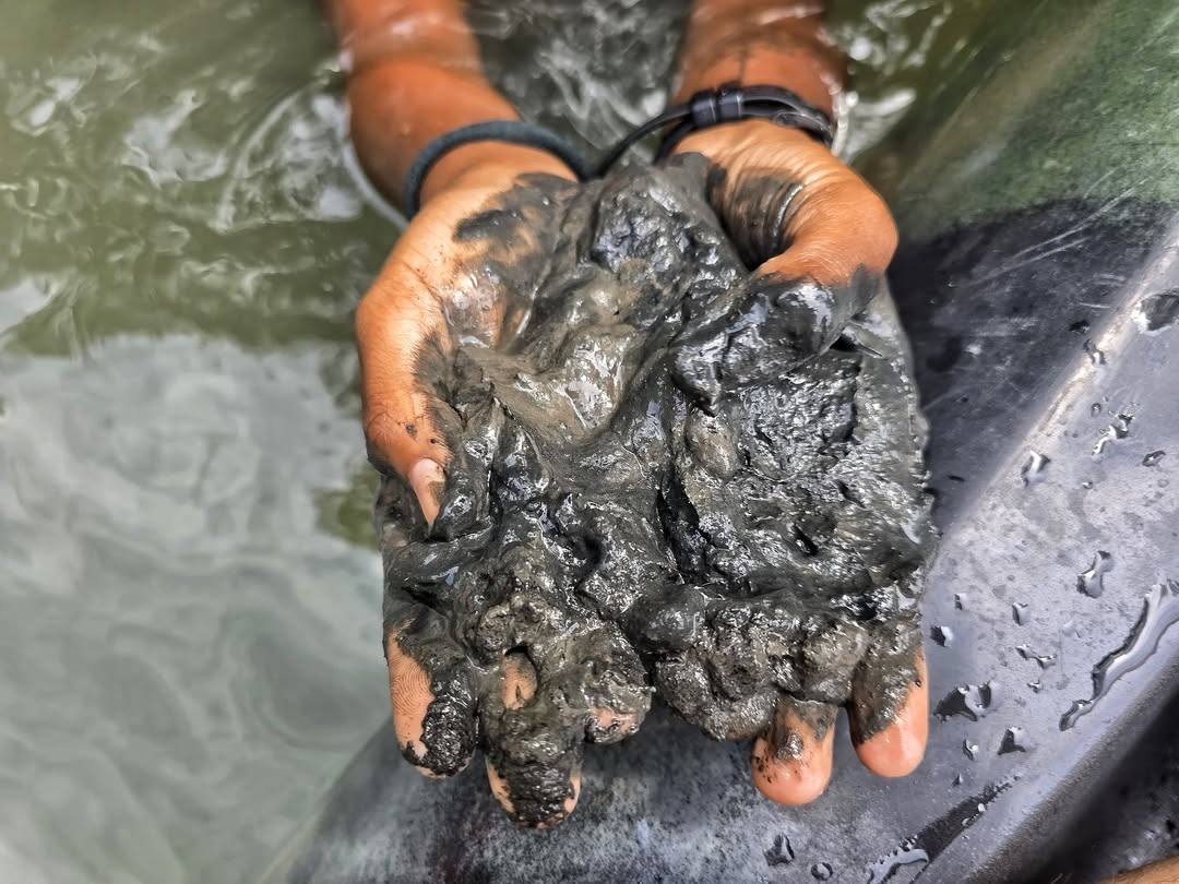 Mud bath - Lesser-known things to do in Langkawi