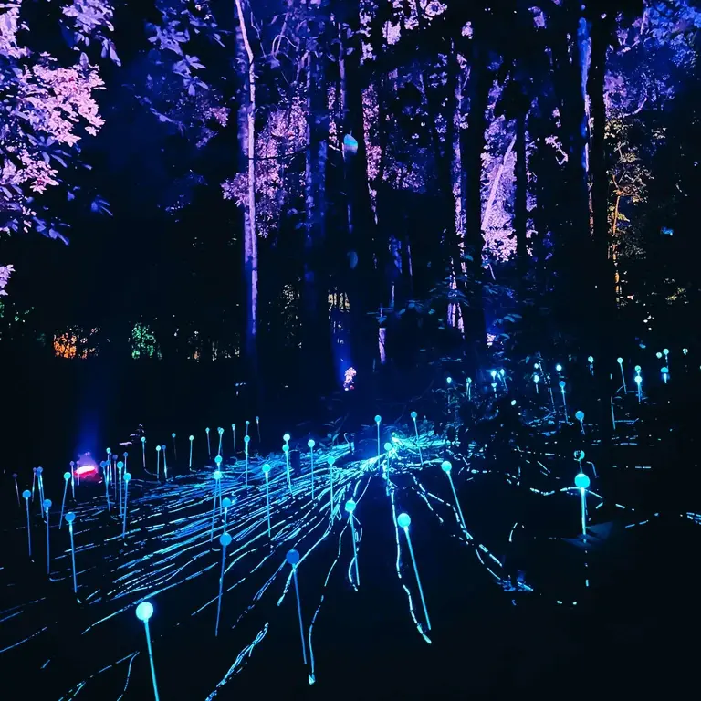 New exhibition - Lesser-known things to do in Langkawi