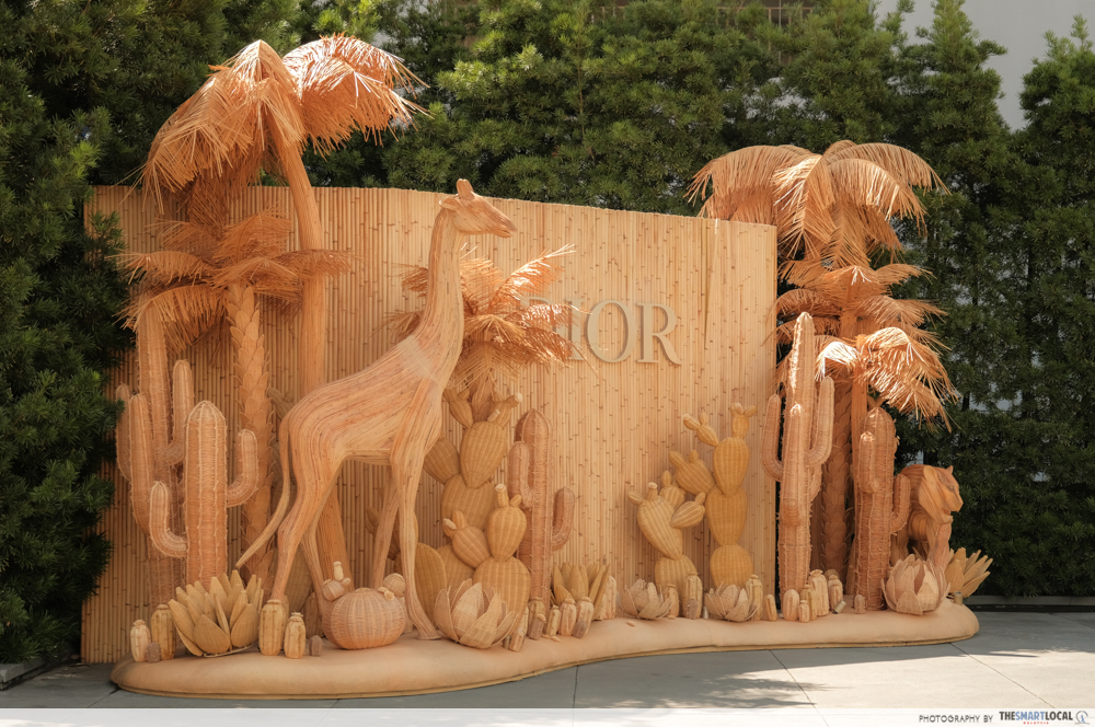 dioriviera penang - dior