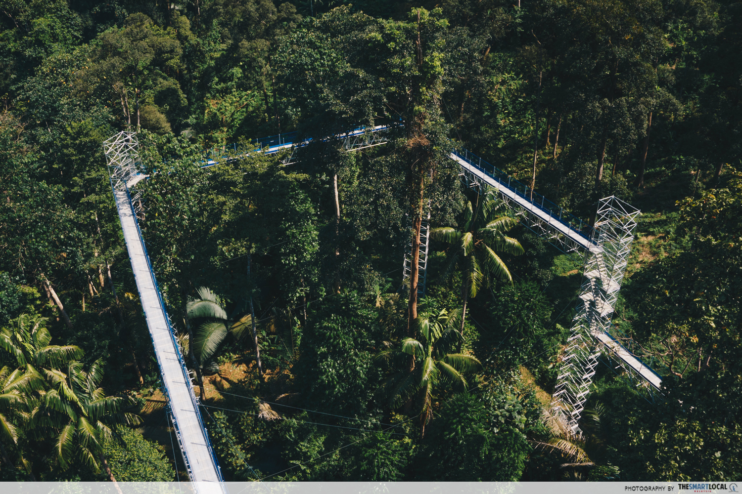 forest skywalk in frim - rectangular walkway