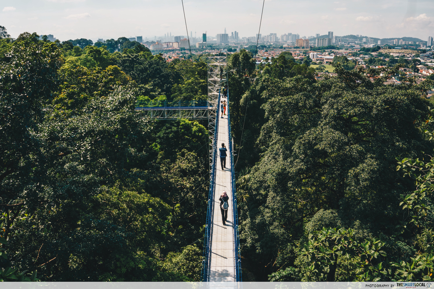 forest skywalk in frim - canopy