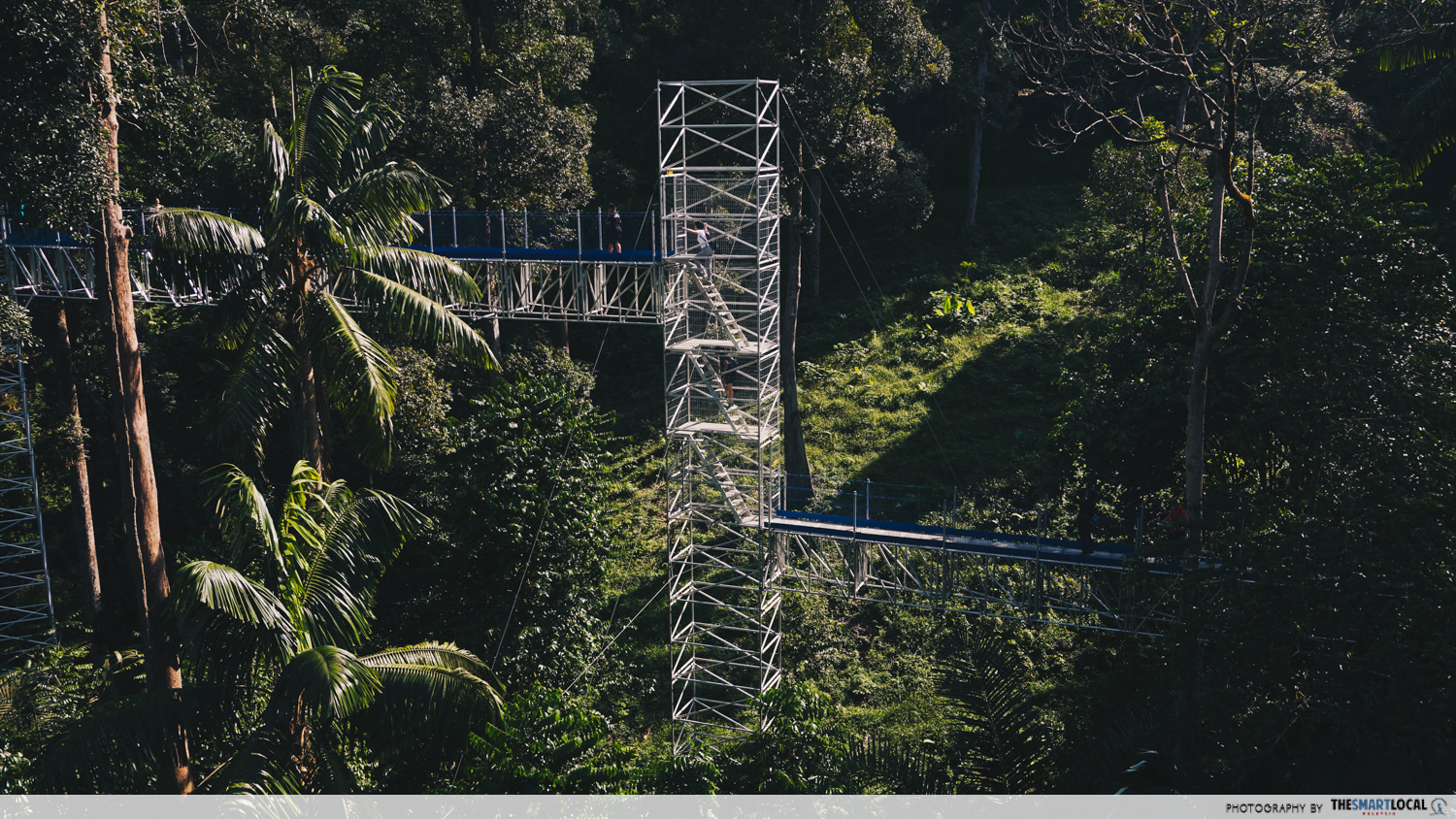 forest skywalk in frim - watchtower