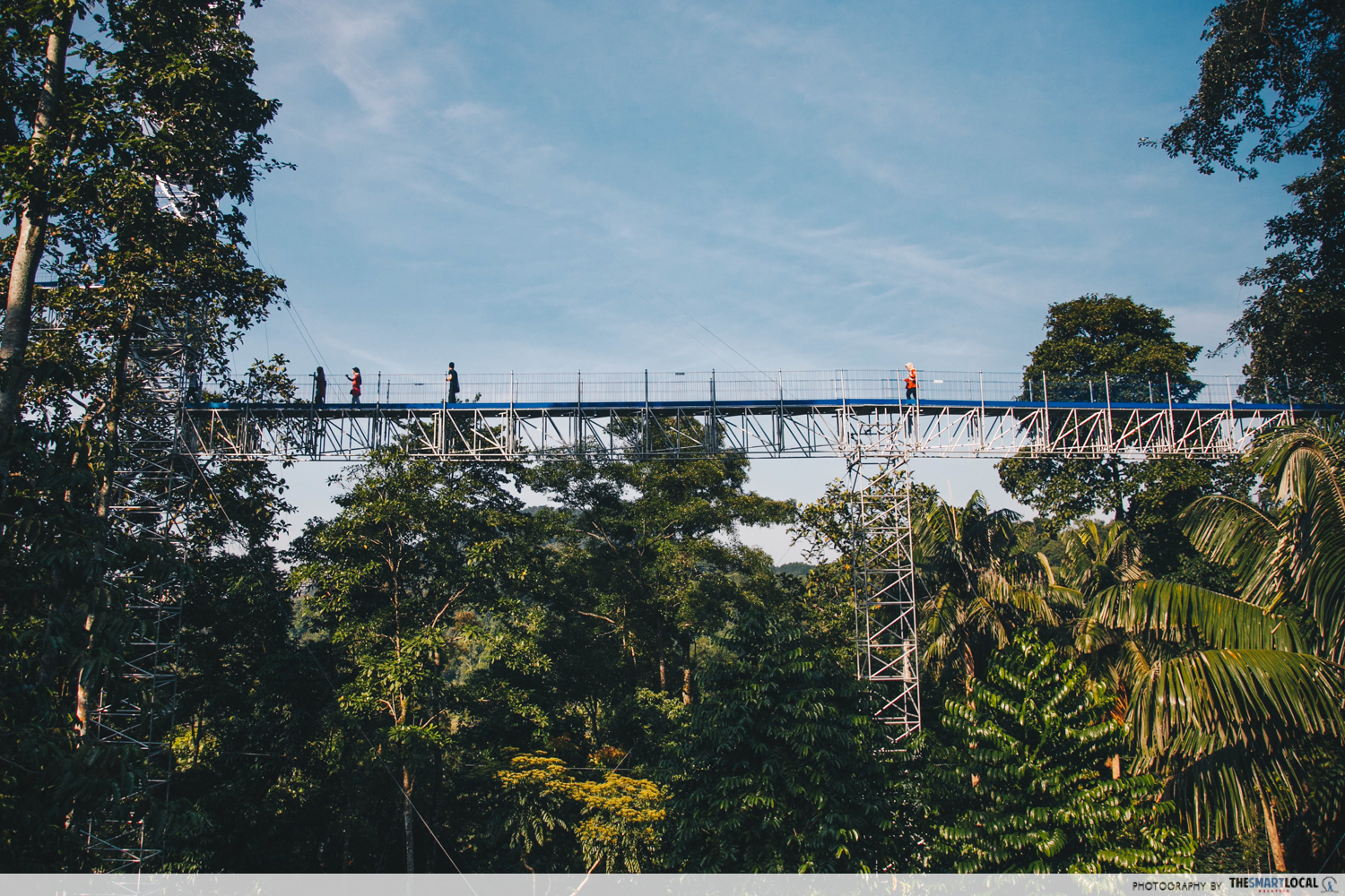 forest skywalk in frim - steel walkway