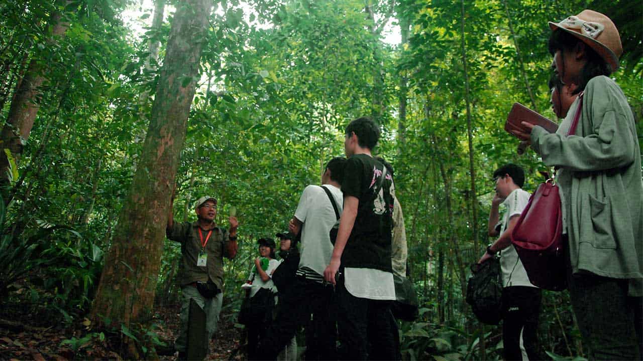 frim unesco status - guided nature trekking