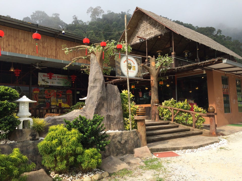 things to do genting highlands - happy bee farm