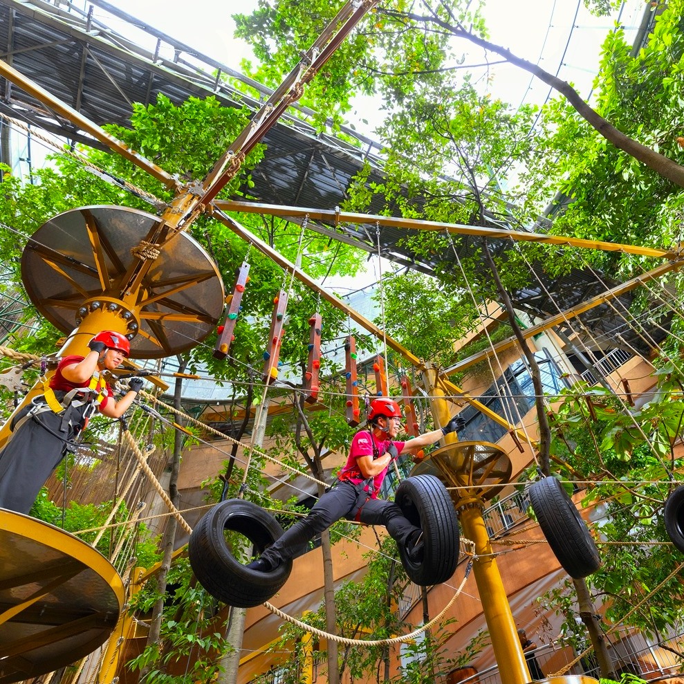 Tree Top Adventure - Best Merdeka deals