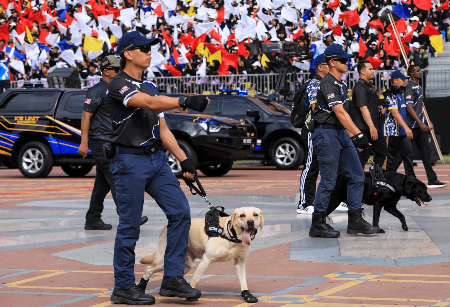 merdeka day 2025 parade - dogs