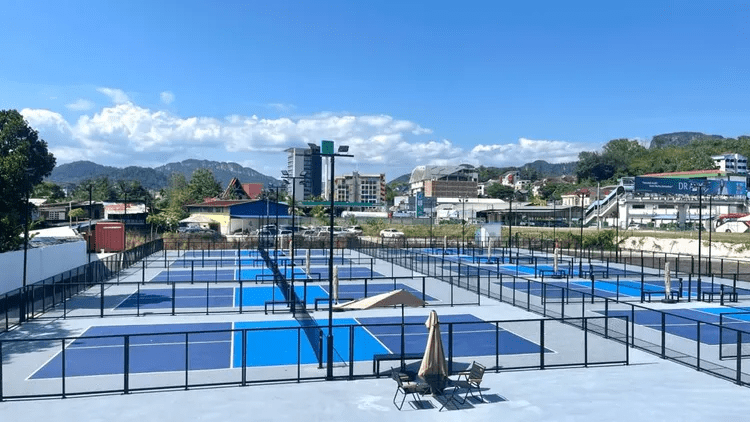 pickleball courts klang valley - pickle power