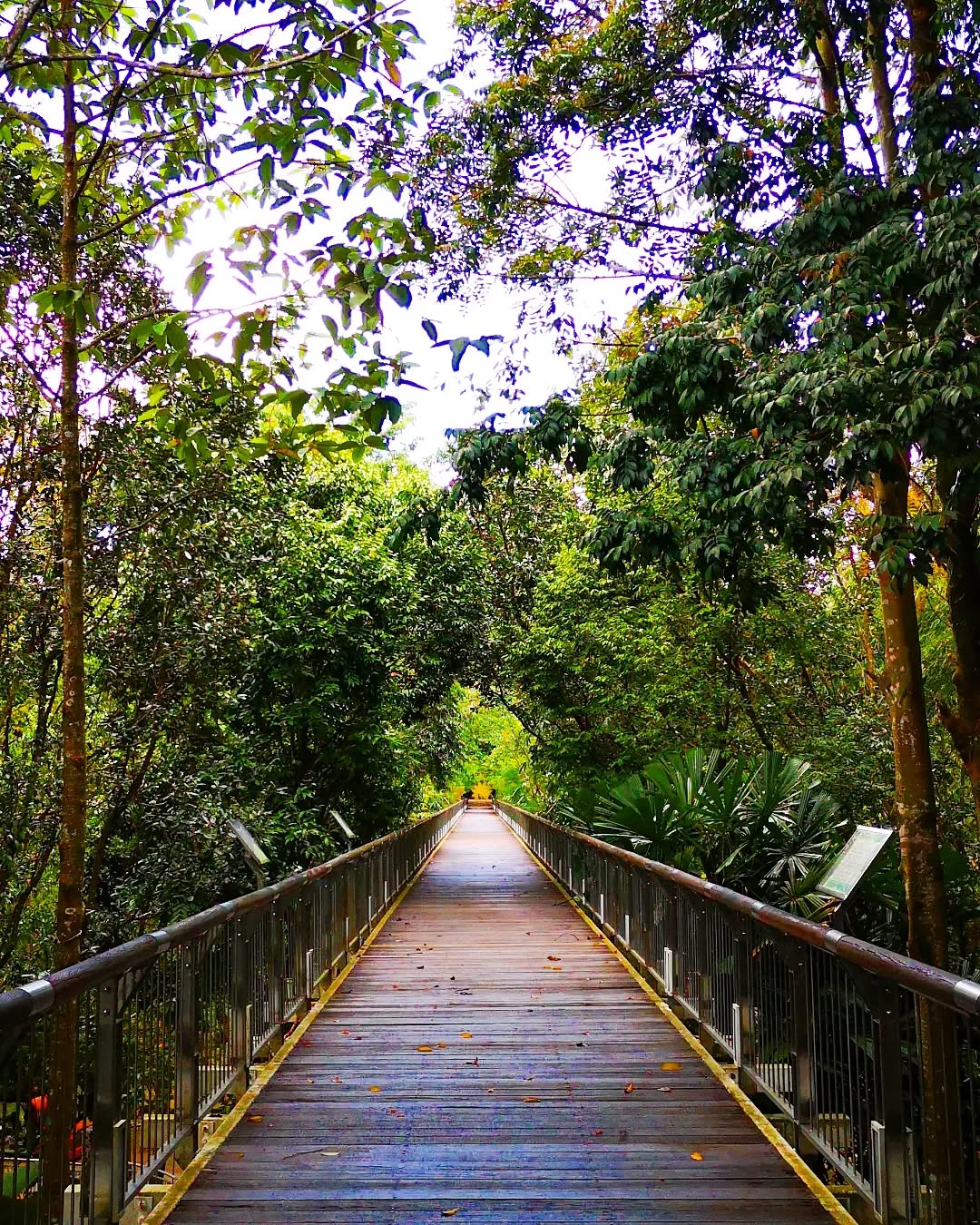 things to do putrajaya - taman botani
