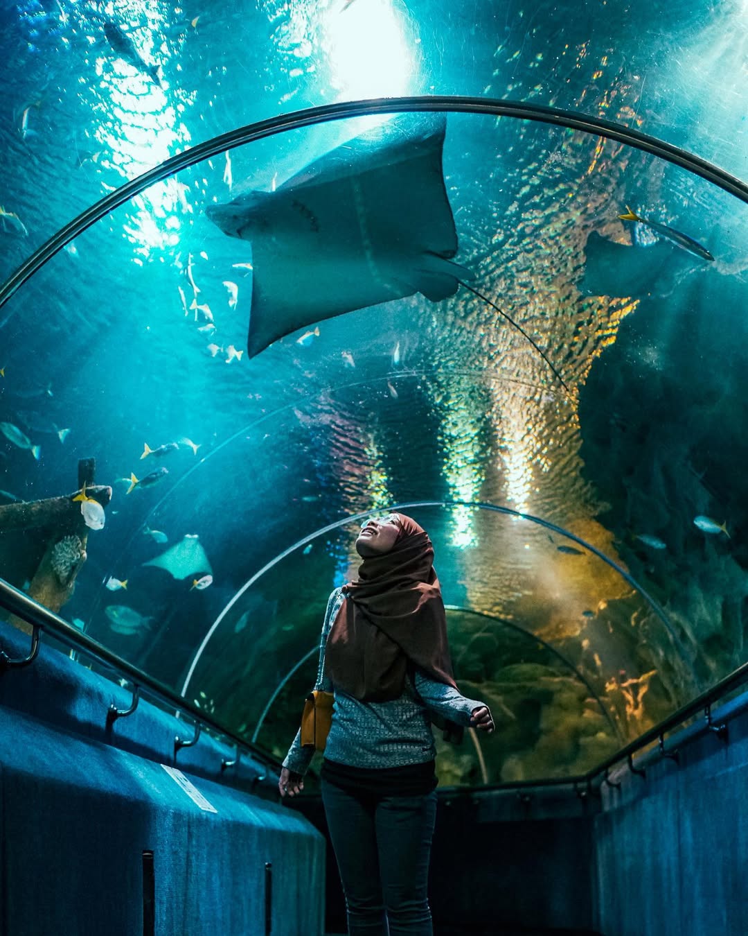 aquaria klcc birthday promotion - tunnel