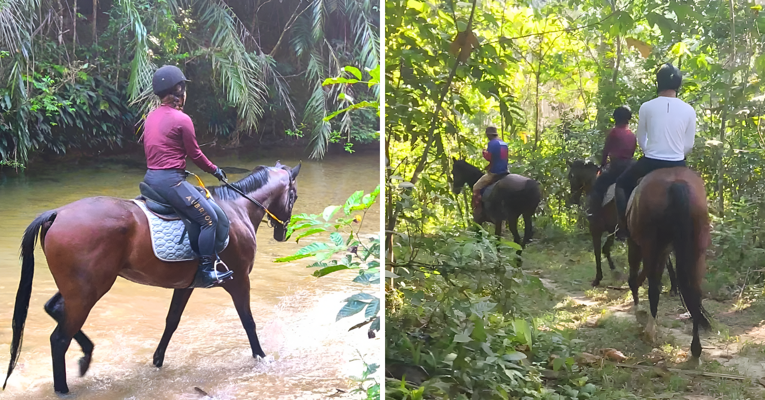 Kelab Berkuda Al Heyzum - water horse riding